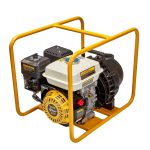 Talon Petrol Banjo Thermoplastic Pump